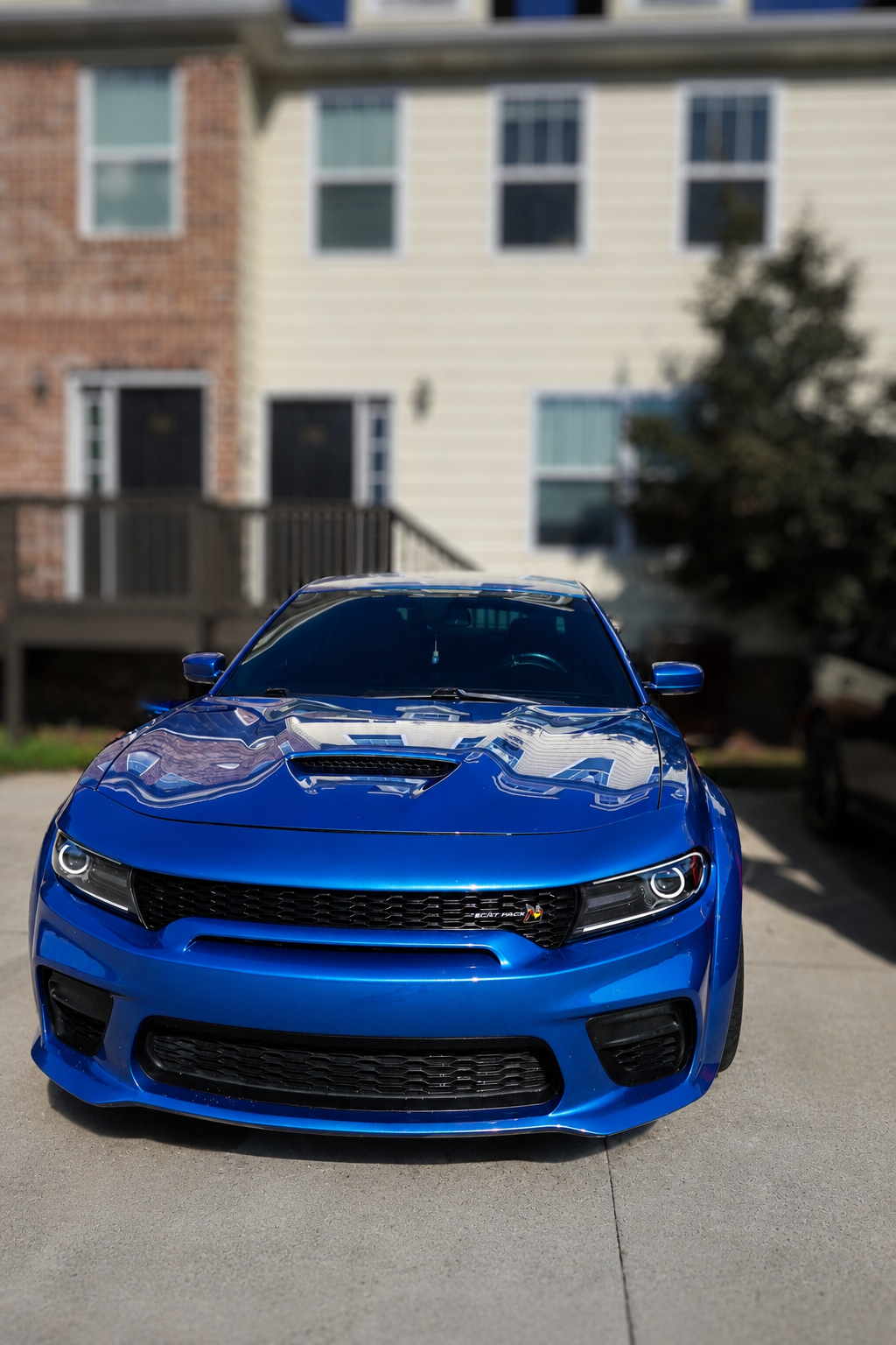Bright blue Dodge Charger Scat Pack Widebody with a mirror-gloss finish after a full detail